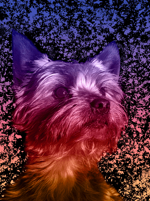 Avatar for 0x4263df45b2958650542edc7abdf89ef7994d317a