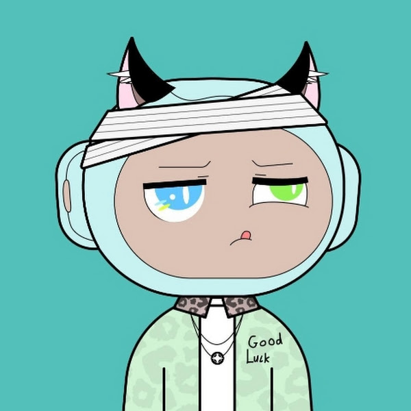 Avatar for 0x896c20da40c2a4df9b7c98b16a8d5a95129161a5