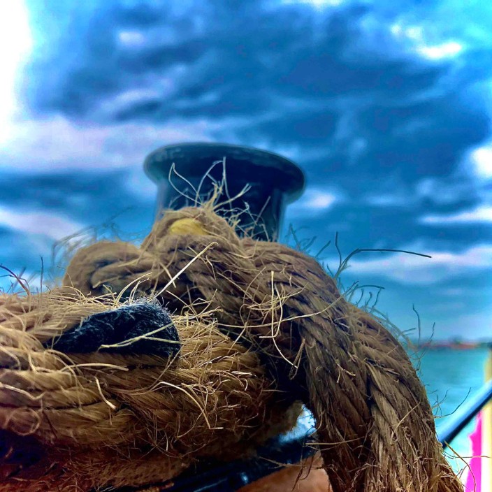 Avatar for 0xe5adabbd71225e8074e30ff6ce2a66c9319c071b