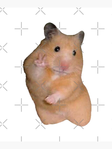 Avatar for 0xf670e7b9d0e460e64bcf8c26f4562b3e30afc8a2