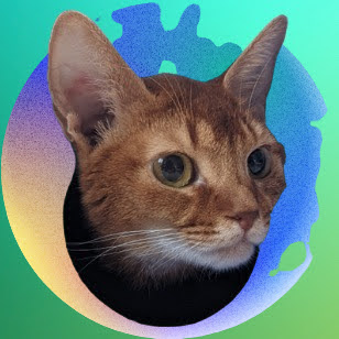 Avatar for fysp.eth
